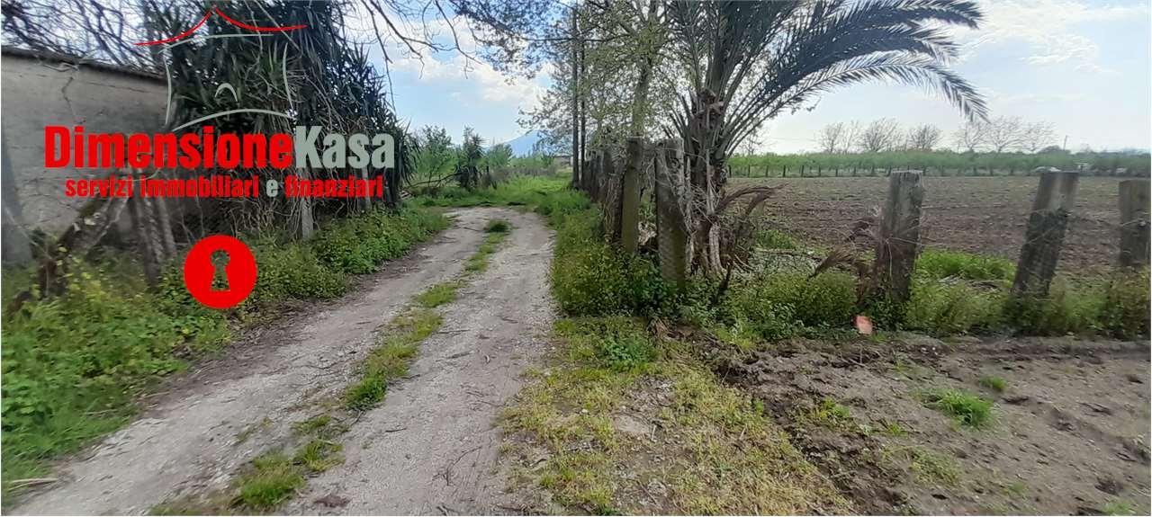 Vendita vendita, Acerra Vendita vendita, Acerra foto