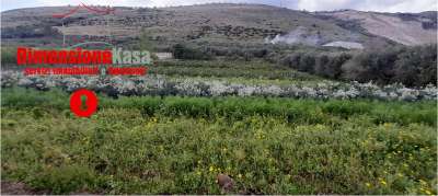 Vendita vendita, San Felice a Cancello Vendita vendita, San Felice a Cancello