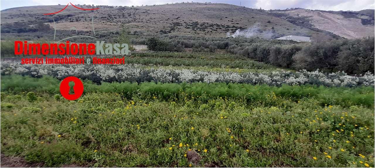 Vendita vendita, San Felice a Cancello Vendita vendita, San Felice a Cancello foto