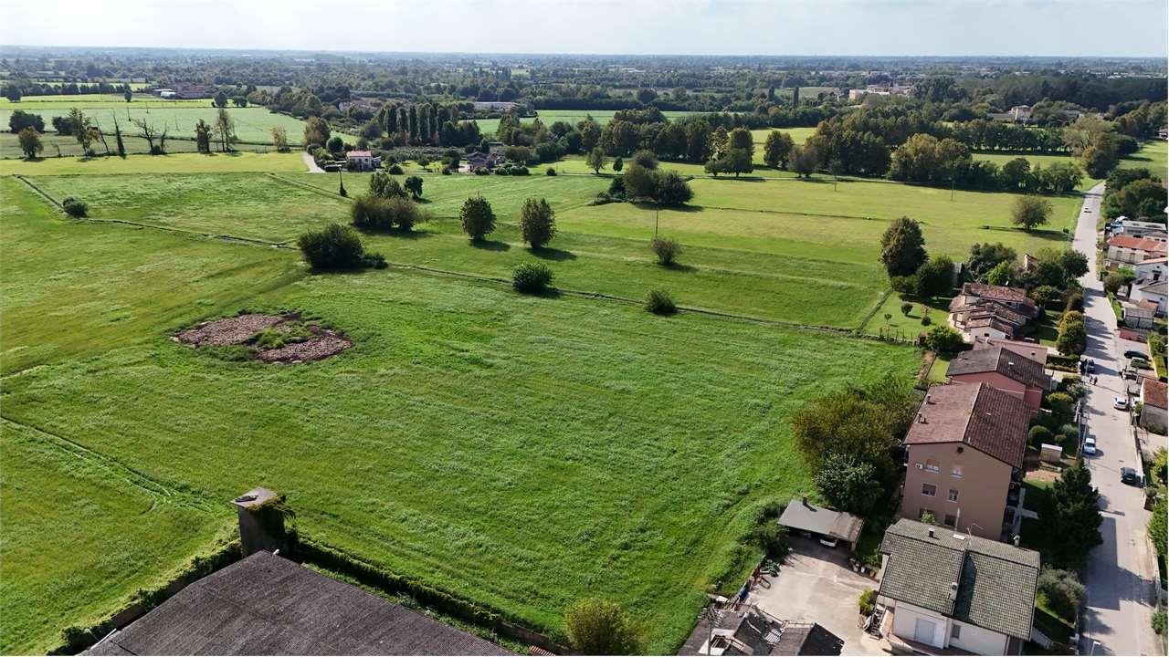 Vendita vendita, Goito Vendita vendita, Goito foto