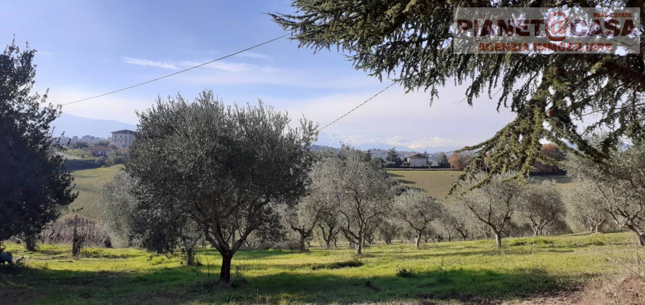 Vendita Terreno, Castorano Vendita Terreno, Castorano foto