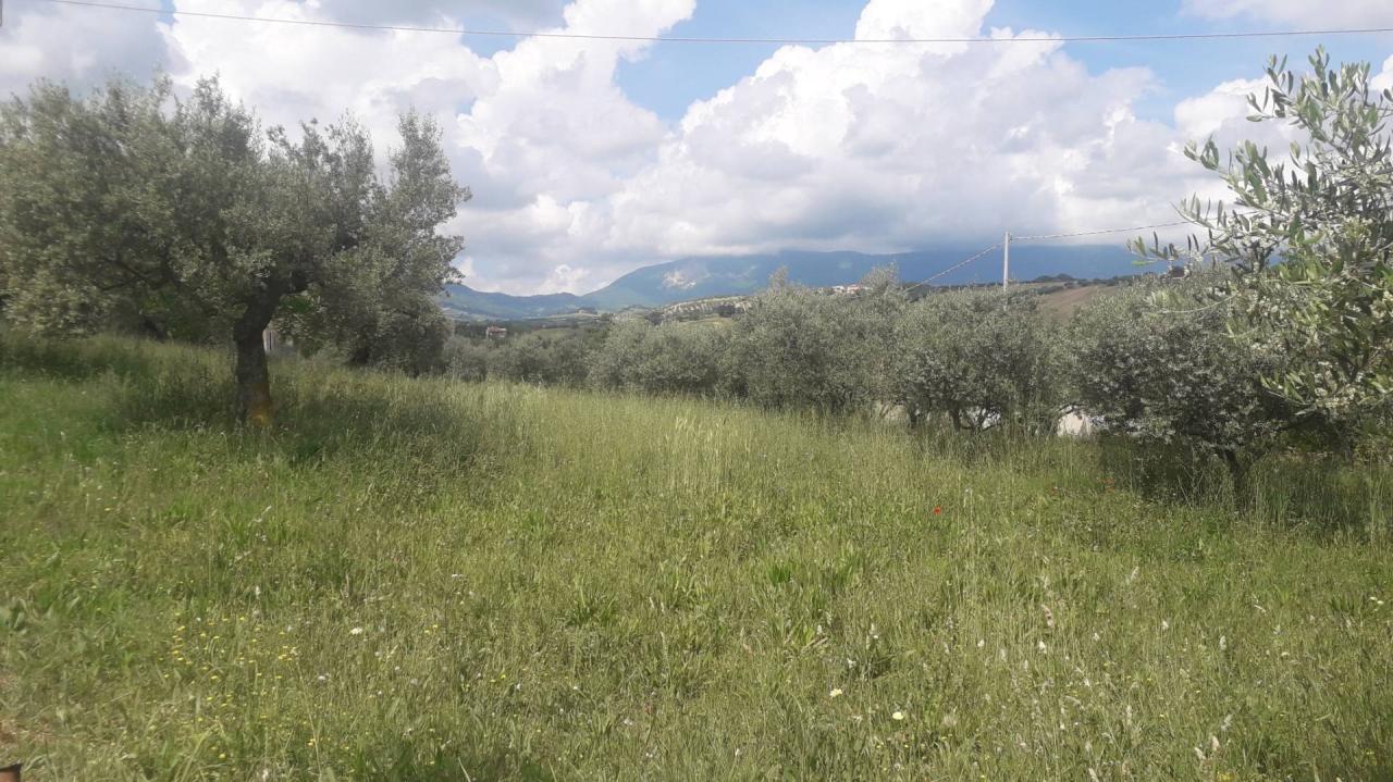 Vendita Terreno, Alanno Vendita Terreno, Alanno foto