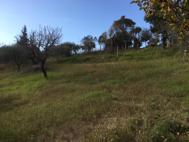 Vendita Terreno, Monsampolo del Tronto foto