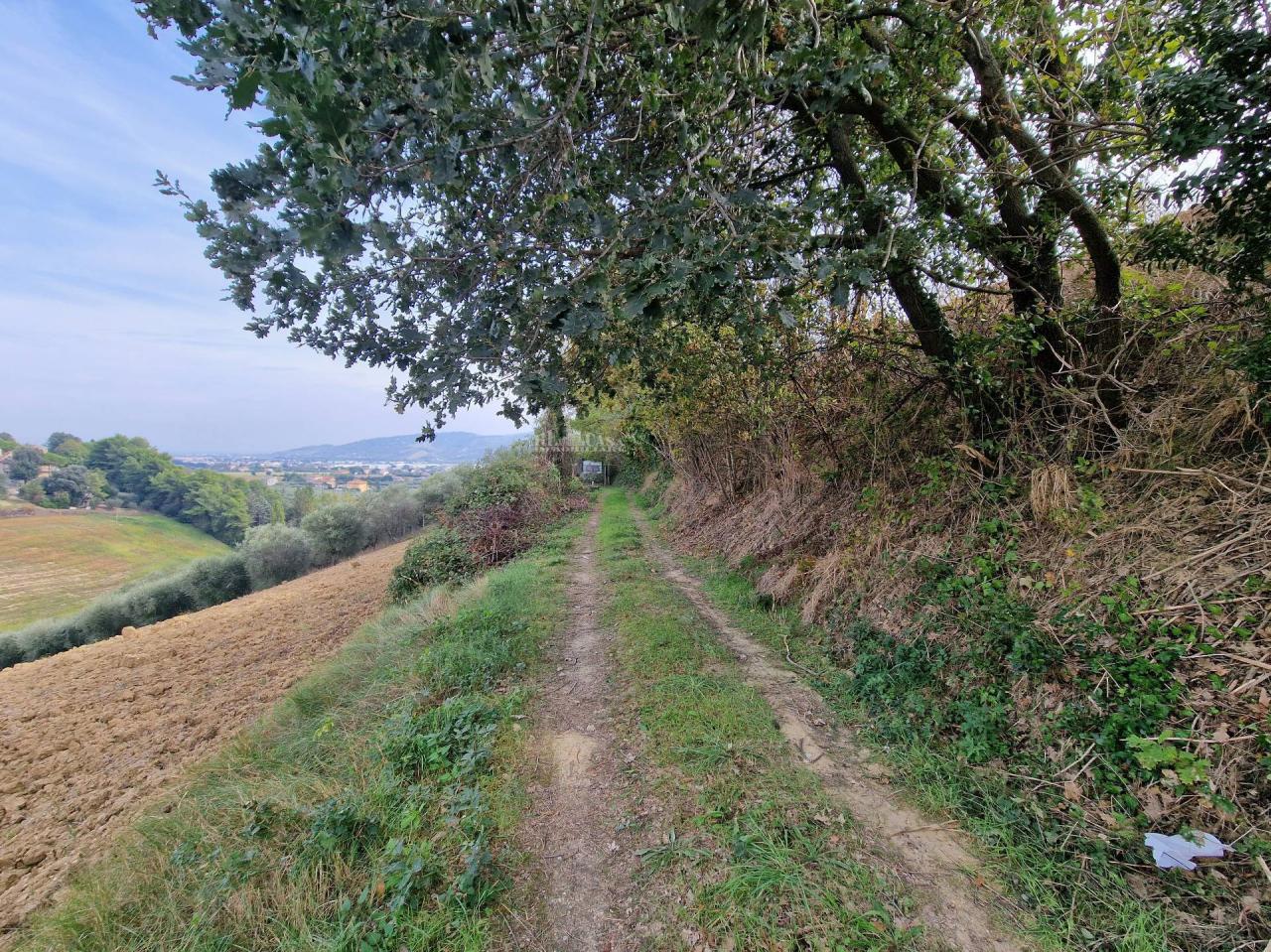 Vendita Terreno, Monsampolo del Tronto foto