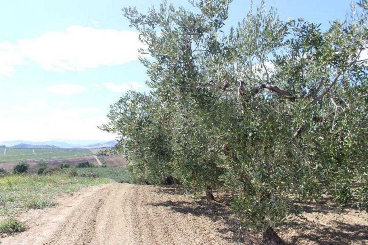 Vendita Terreno, Cupello Vendita Terreno, Cupello foto