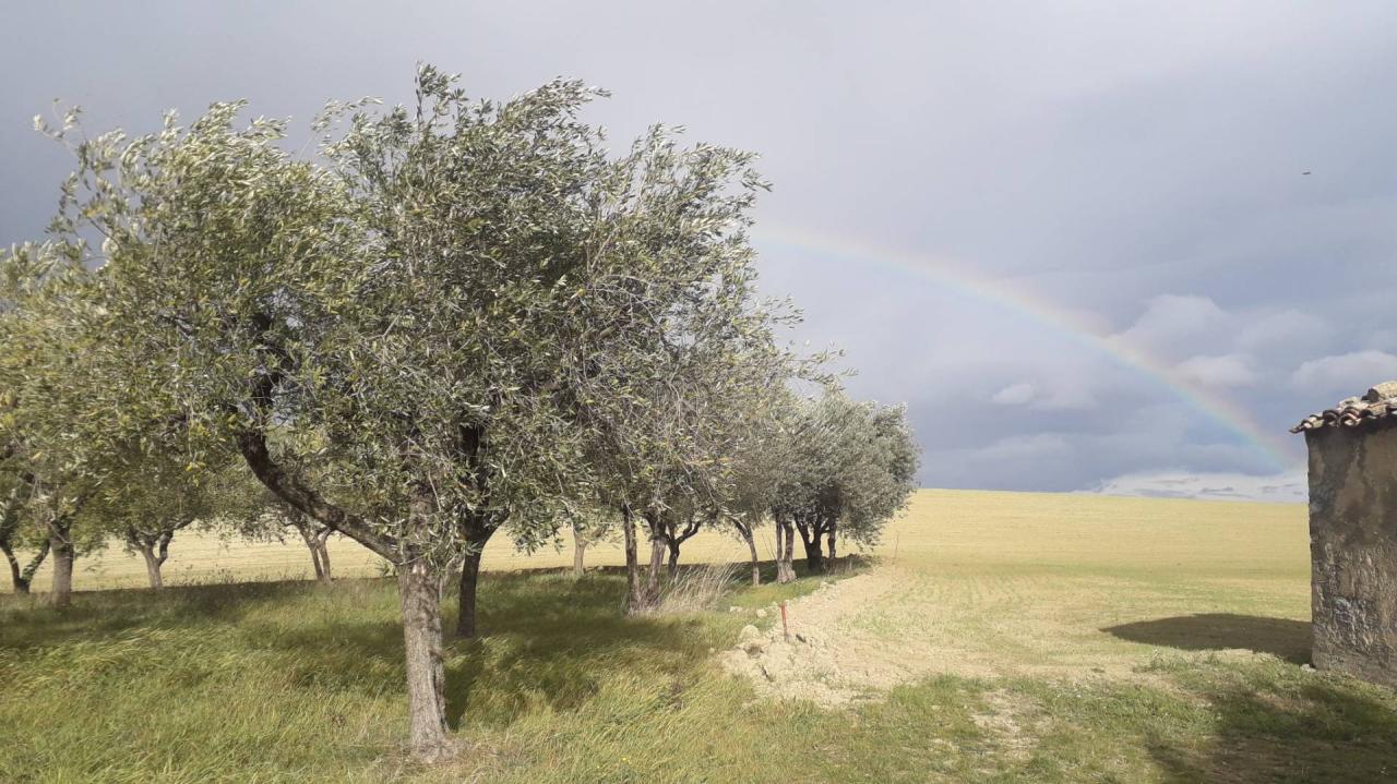 Vendita Terreno, Alanno Vendita Terreno, Alanno foto