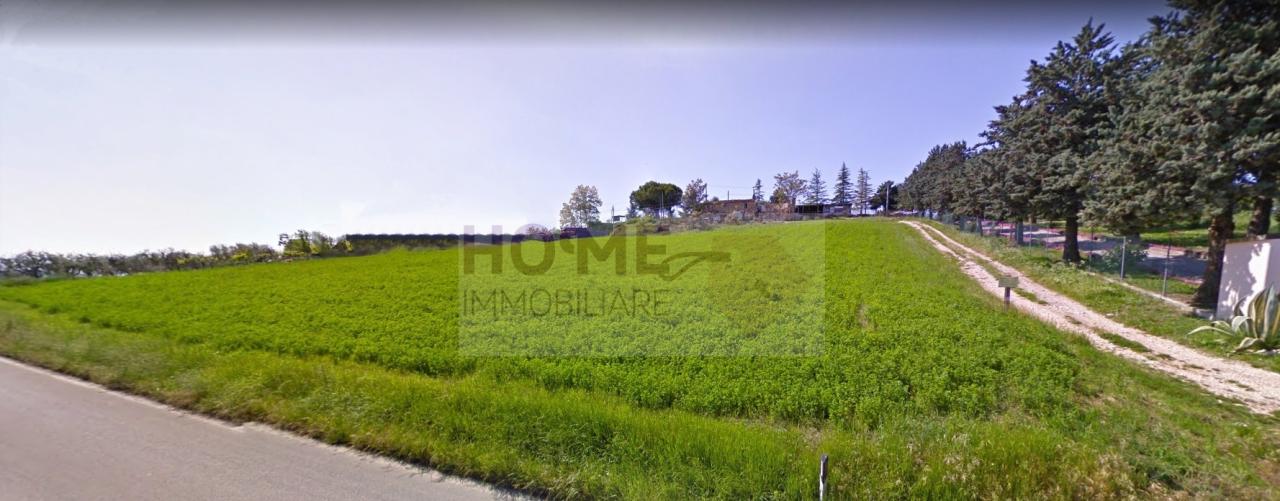 Vendita Terreno, Mogliano Vendita Terreno, Mogliano foto