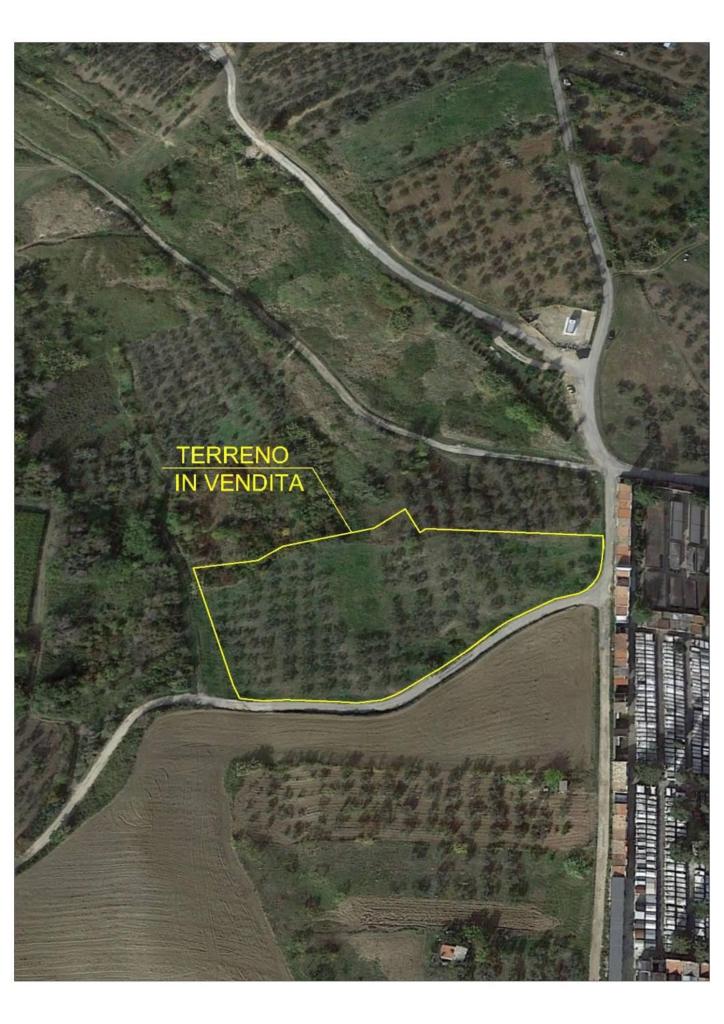 Vendita Terreno, Cupello foto