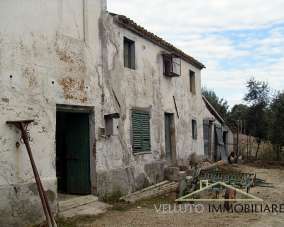 Vendita Casa indipendente, Senigallia Vendita Casa indipendente, Senigallia