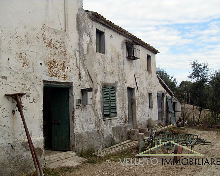 Vendita Casa indipendente, Senigallia foto
