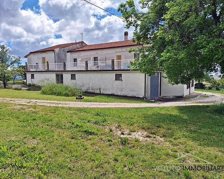 Vendita Casa indipendente, Senigallia foto