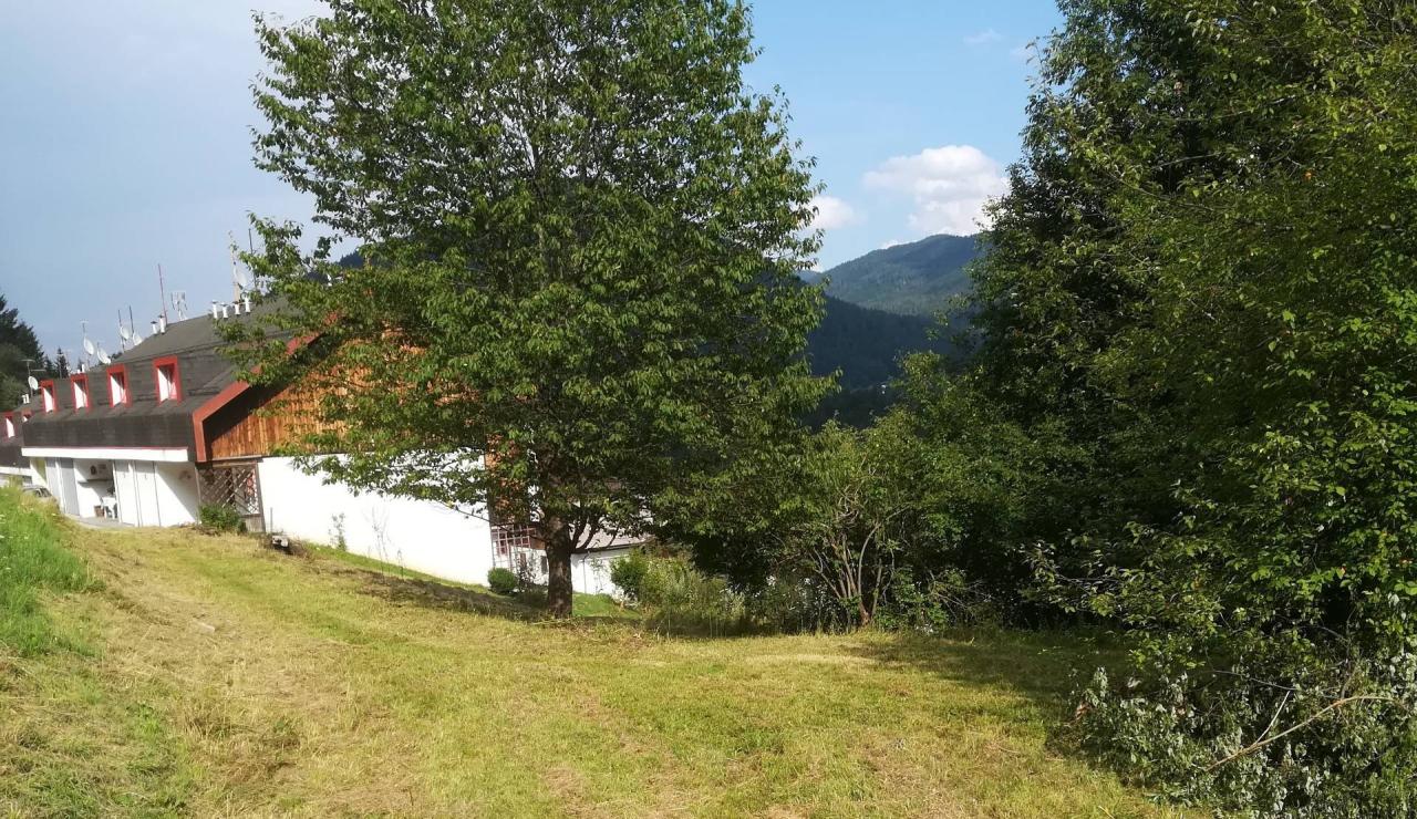 Vendita Terreno, Tarvisio Vendita Terreno, Tarvisio foto