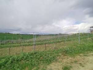 Vendita Terreno, Monteprandone Vendita Terreno, Monteprandone