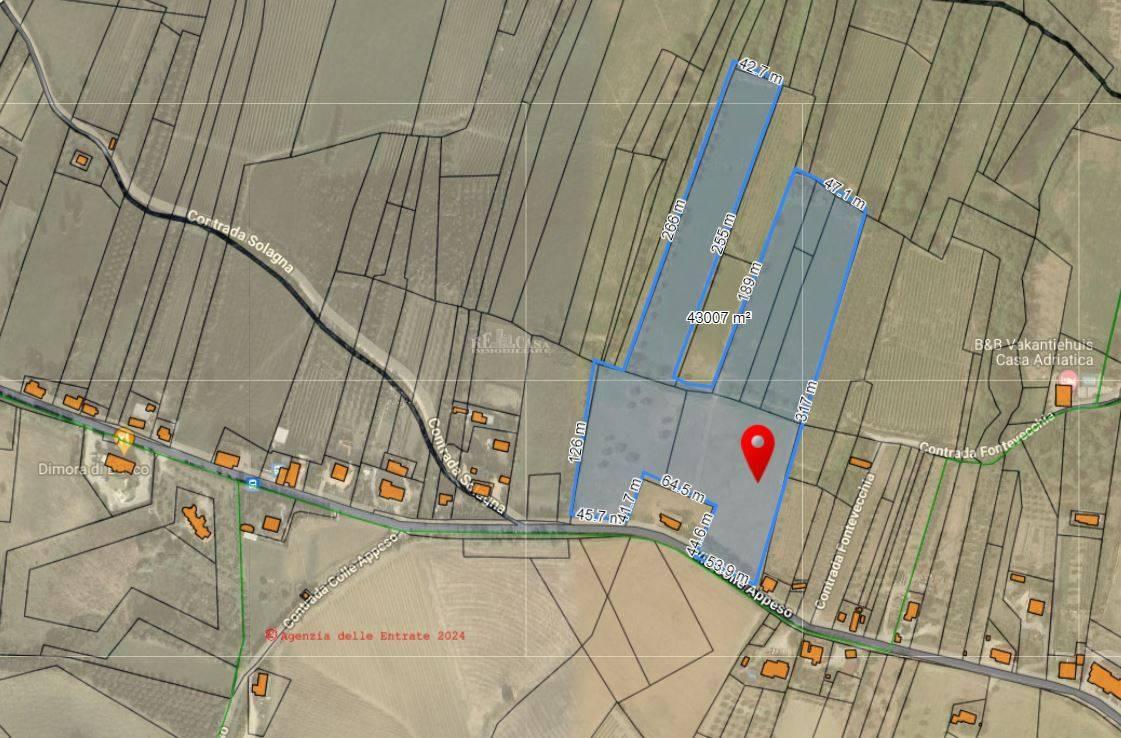 Vendita Terreno, Monteprandone foto