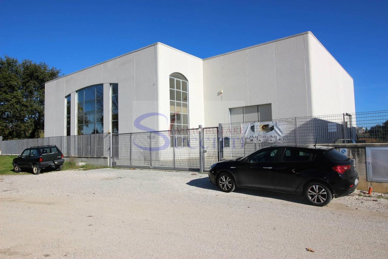 Vendita Capannone, Mosciano Sant'Angelo Vendita Capannone, Mosciano Sant'Angelo foto