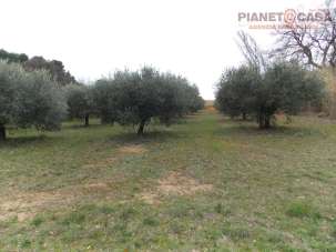 Vendita Terreno, San Benedetto del Tronto Vendita Terreno, San Benedetto del Tronto
