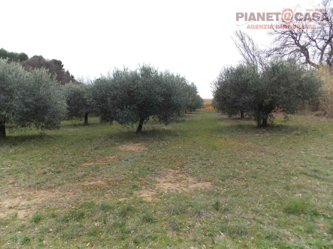 Vendita Terreno, San Benedetto del Tronto foto