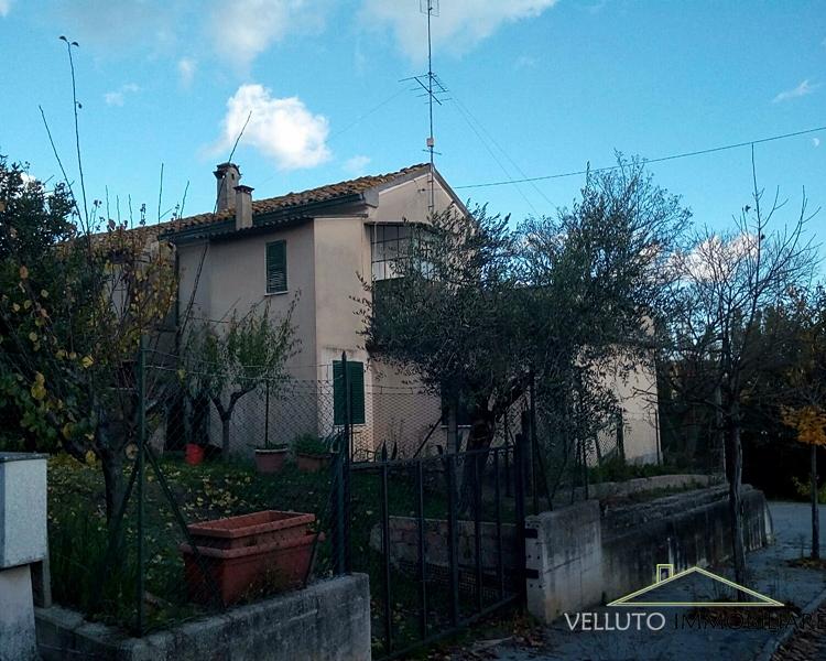 Vendita Casa indipendente, Senigallia foto