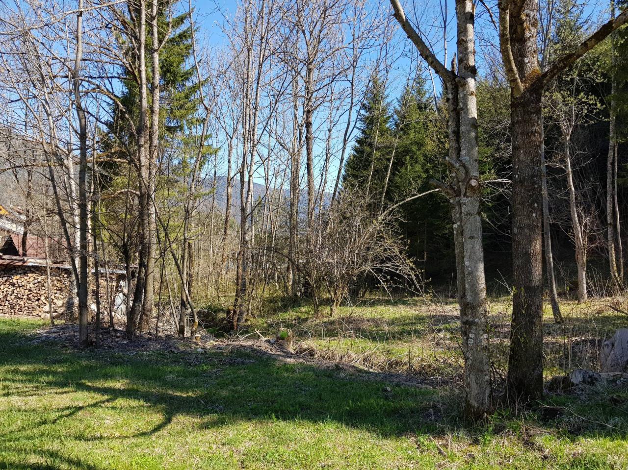 Vendita Terreno, Tarvisio foto