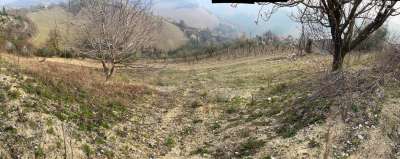 Vendita Terreno, Ripatransone Vendita Terreno, Ripatransone
