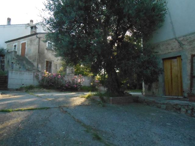 Vendita Casa indipendente, Roccamontepiano foto