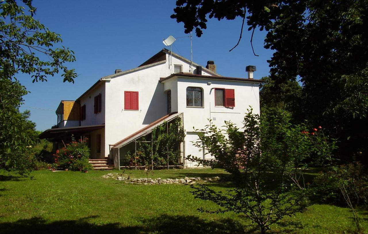 Venta Casa indipendente, Offida foto