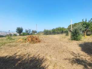 Vendita Terreno, Colonnella Vendita Terreno, Colonnella