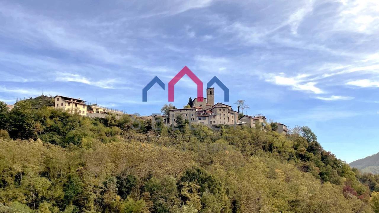 Vendita Appartamento, Minucciano foto