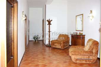 Vendita Esavani, Grosseto Vendita Esavani, Grosseto