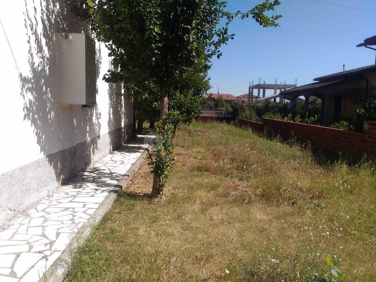 Vendita Multivani, Luni Vendita Multivani, Luni foto