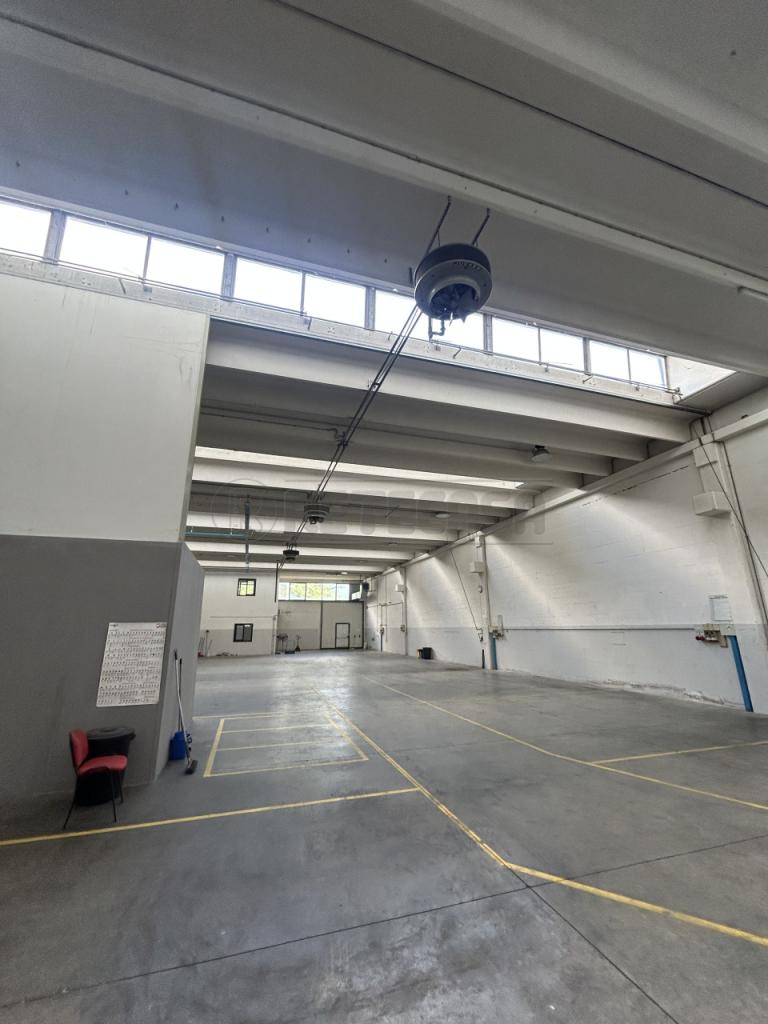 Affitto Multivani, Schio foto