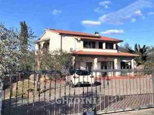 Vendita Multivani, Grosseto Vendita Multivani, Grosseto