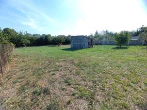 Vendita vendita, Roma Vendita vendita, Roma