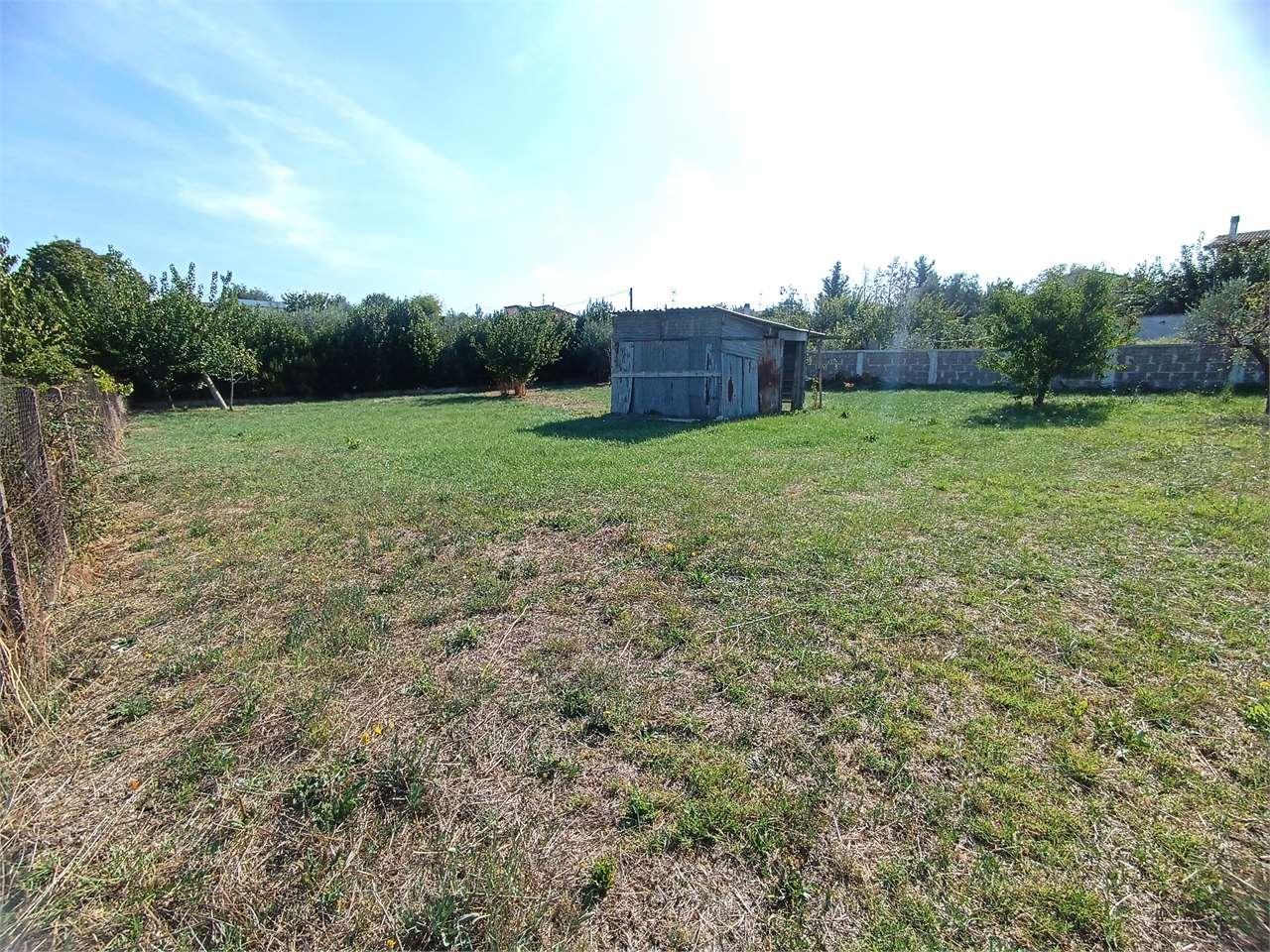 Vendita vendita, Roma Vendita vendita, Roma foto