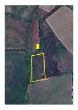 Vendita Terreno, Grosseto