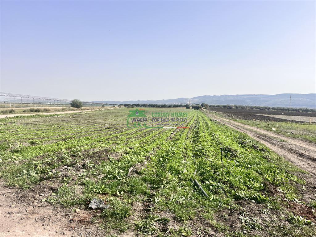 Vendita Terreno Agricolo, Comiso foto