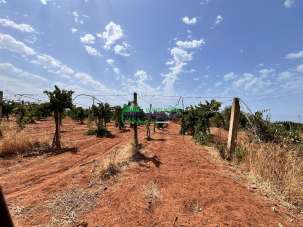 Vendita Terreno Agricolo, Vittoria Vendita Terreno Agricolo, Vittoria