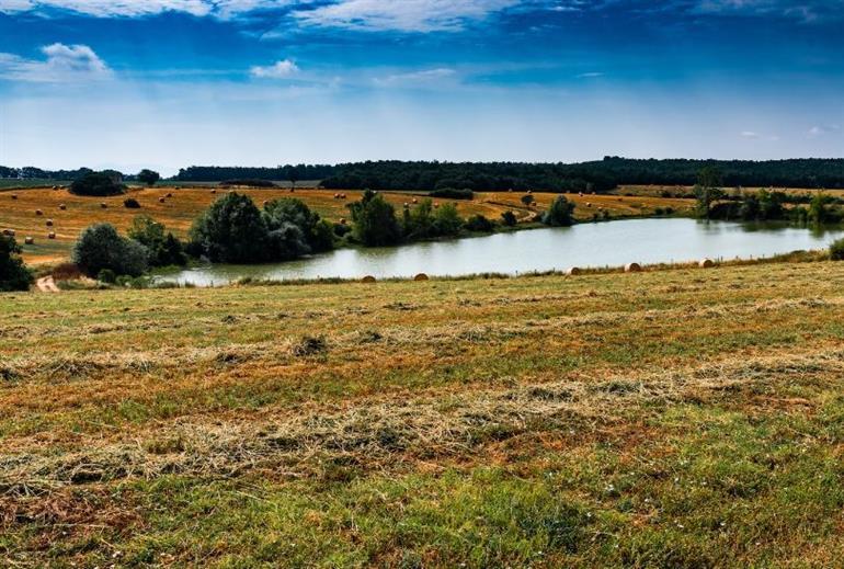 Venta ATTIVITA', Umbertide foto