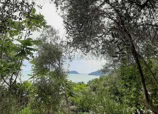 Vendita Bivani, Lerici
