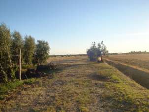 Venta Roomed, Cecina Venta Roomed, Cecina