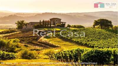 Venta vendita, Casalgrande