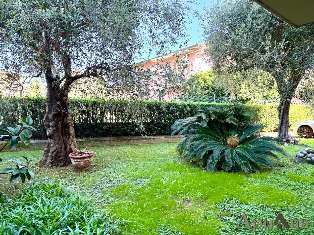 Vendita Appartamento, Massa foto