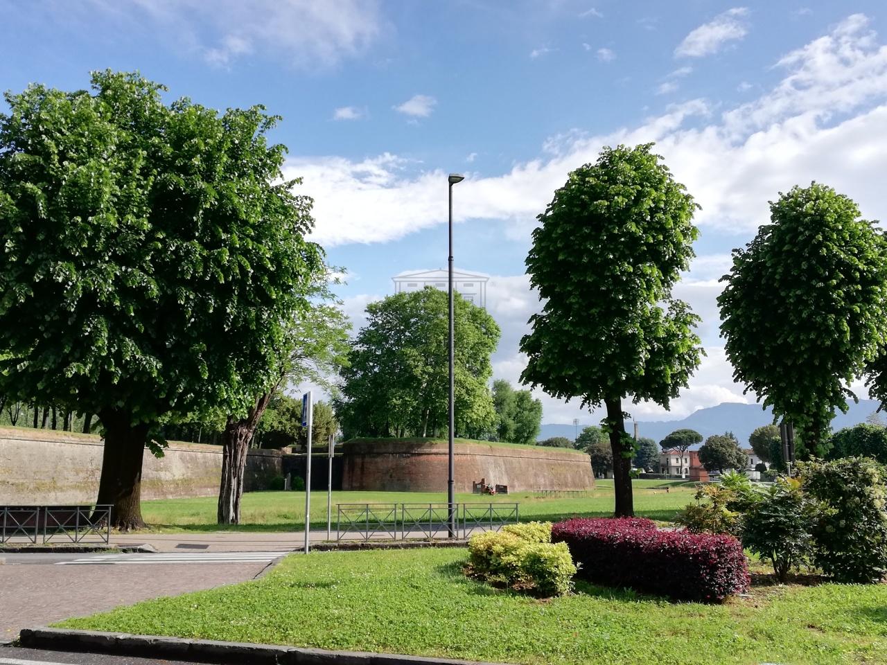 Vendita Multivani, Lucca foto