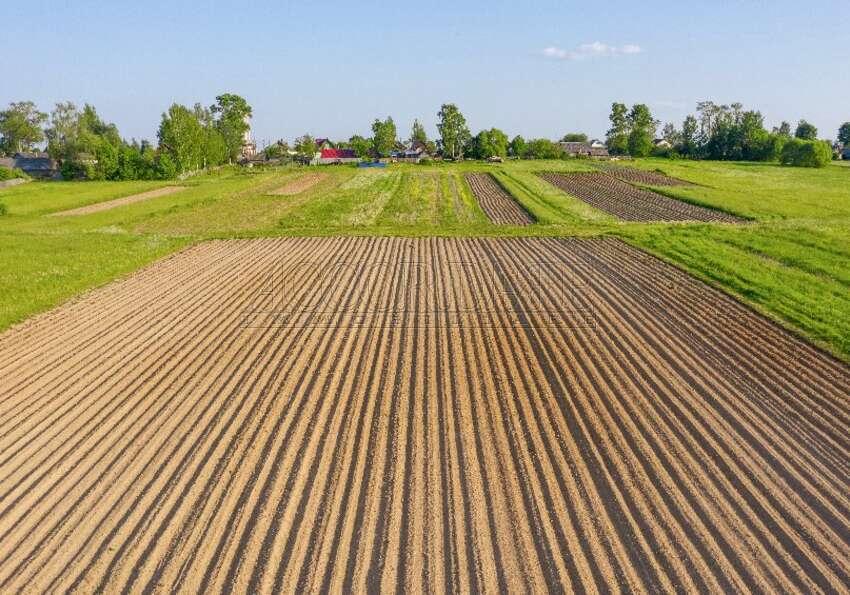 Venta Tierra, Longare foto