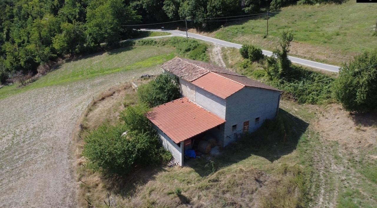Vendita Pentavani, Zocca foto