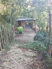 Venta Terreno Agricolo, Imola Venta Terreno Agricolo, Imola