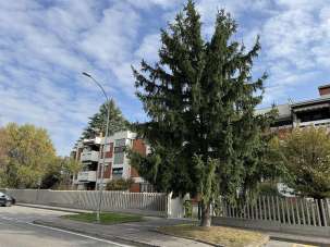Vendita Appartamento, Vedano al Lambro Vendita Appartamento, Vedano al Lambro