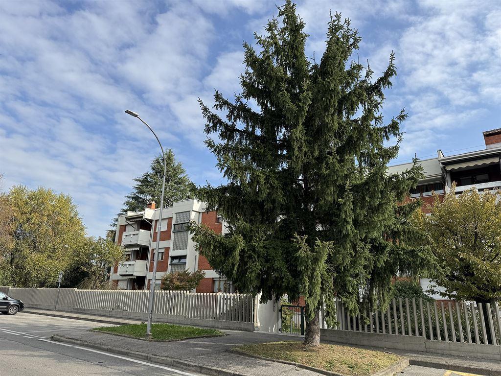 Venta Appartamento, Vedano al Lambro foto