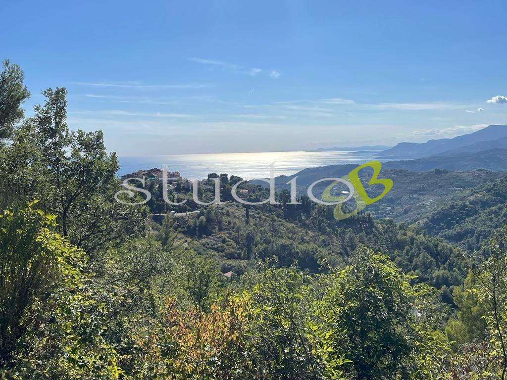 Vendita vendita, Seborga foto