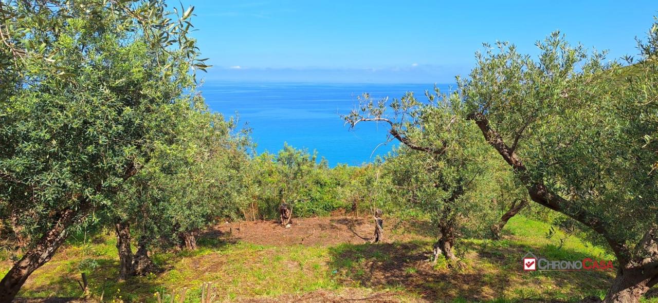 Vendita Terreno, Messina foto